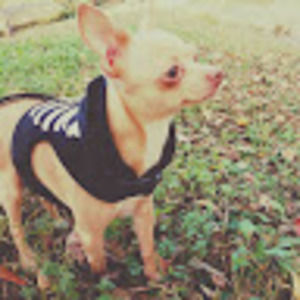 Meet your Posher, Vasti